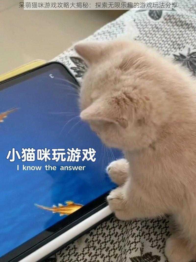 呆萌猫咪游戏攻略大揭秘：探索无限乐趣的游戏玩法分享