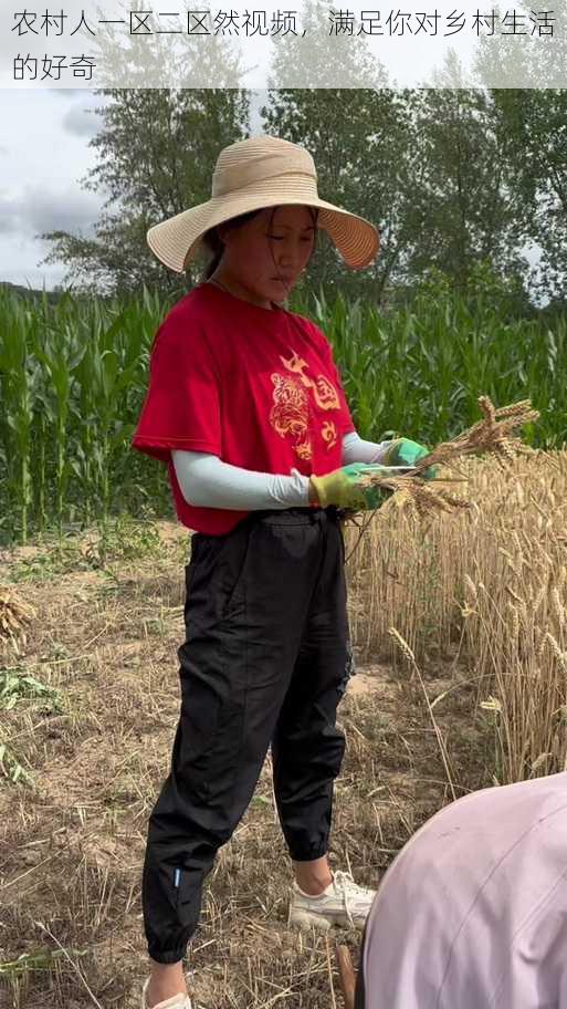 农村人一区二区然视频，满足你对乡村生活的好奇