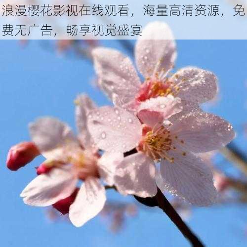 浪漫樱花影视在线观看，海量高清资源，免费无广告，畅享视觉盛宴