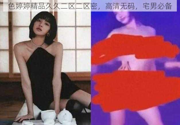 色婷婷精品久久二区二区密，高清无码，宅男必备