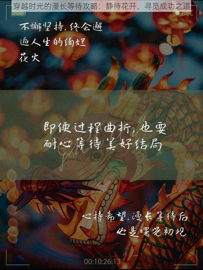 穿越时光的漫长等待攻略：静待花开，寻觅成功之道