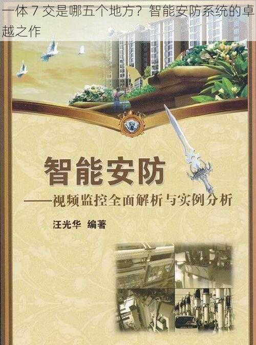 一体 7 交是哪五个地方？智能安防系统的卓越之作