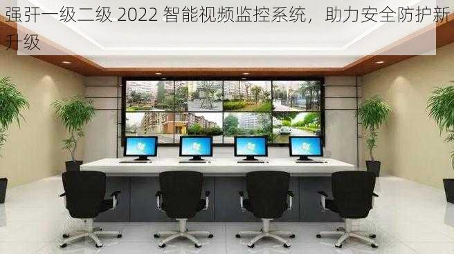 强㢨一级二级 2022 智能视频监控系统，助力安全防护新升级