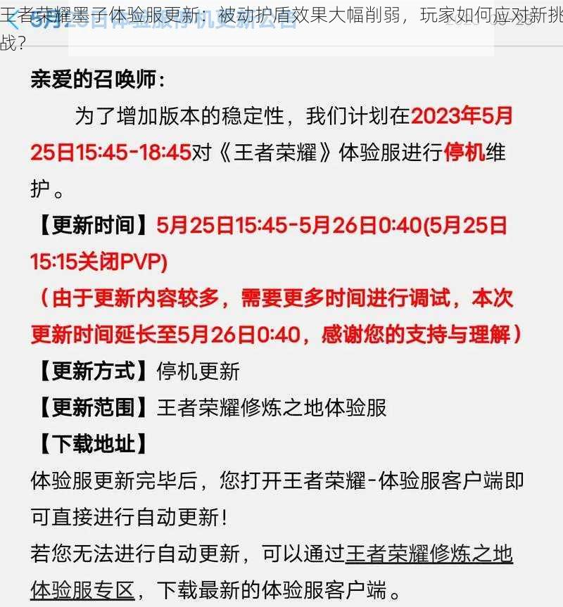 王者荣耀墨子体验服更新：被动护盾效果大幅削弱，玩家如何应对新挑战？