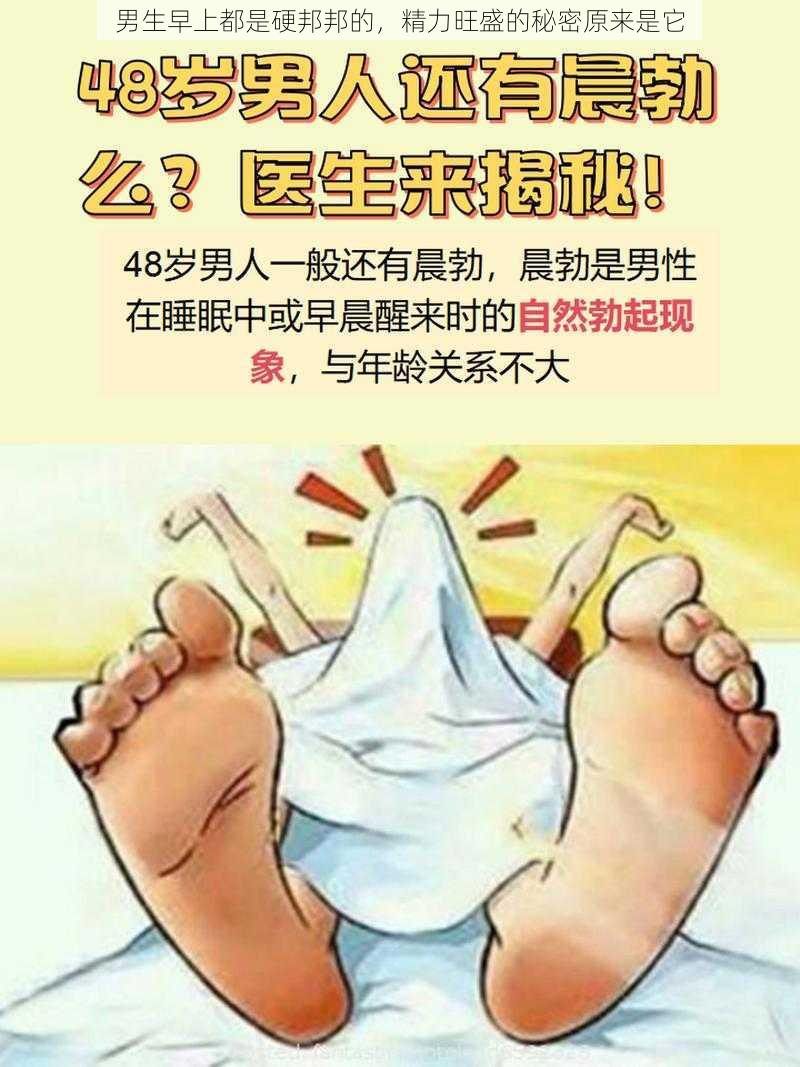 男生早上都是硬邦邦的，精力旺盛的秘密原来是它