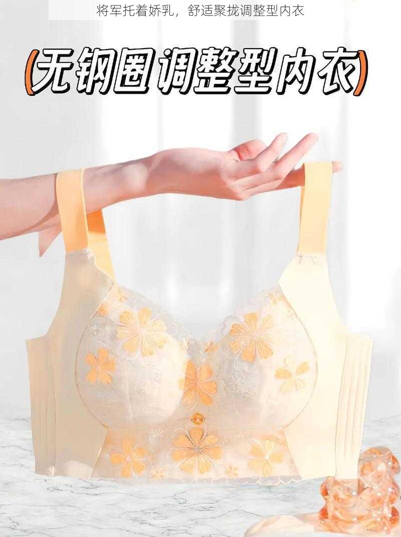 将军托着娇乳，舒适聚拢调整型内衣