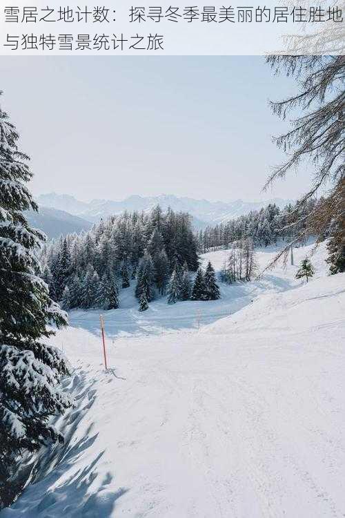 雪居之地计数：探寻冬季最美丽的居住胜地与独特雪景统计之旅