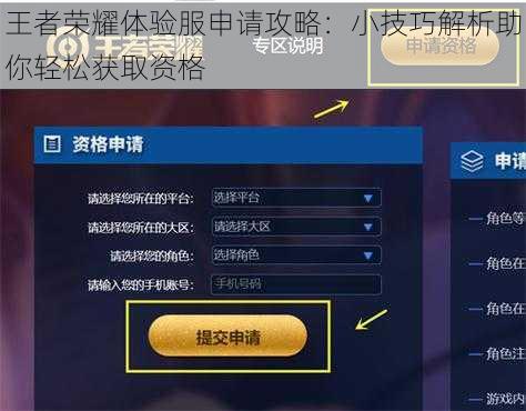 王者荣耀体验服申请攻略：小技巧解析助你轻松获取资格