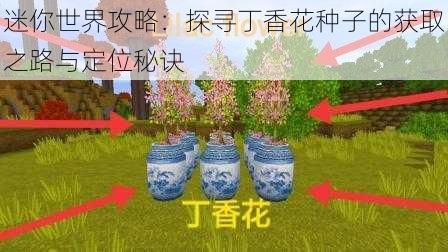 迷你世界攻略：探寻丁香花种子的获取之路与定位秘诀