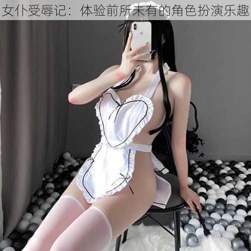 女仆受辱记：体验前所未有的角色扮演乐趣