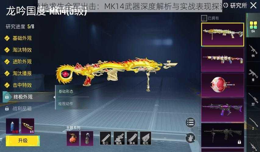 绝地求生全军出击：MK14武器深度解析与实战表现探讨