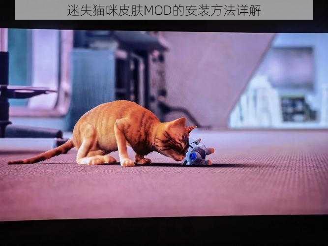 迷失猫咪皮肤MOD的安装方法详解