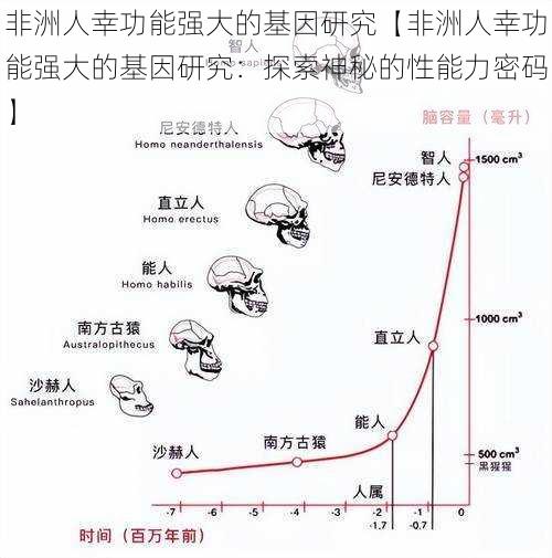 非洲人幸功能强大的基因研究【非洲人幸功能强大的基因研究：探索神秘的性能力密码】