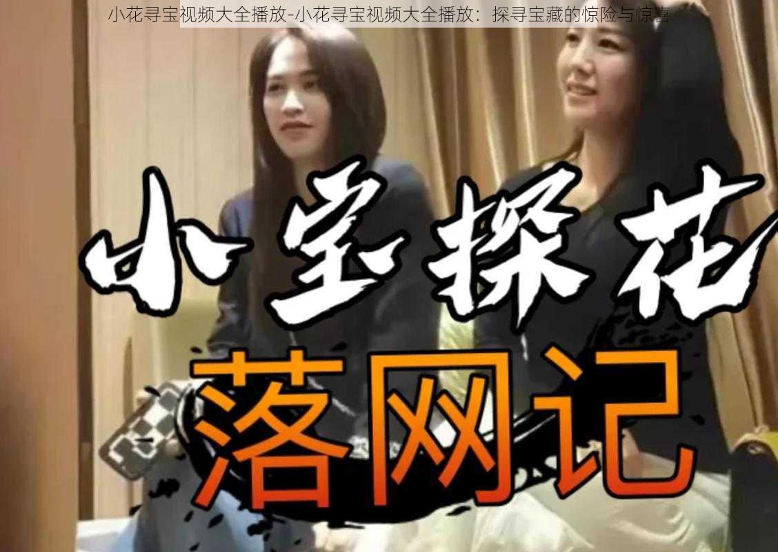 小花寻宝视频大全播放-小花寻宝视频大全播放：探寻宝藏的惊险与惊喜