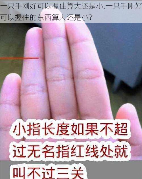 一只手刚好可以握住算大还是小,一只手刚好可以握住的东西算大还是小？