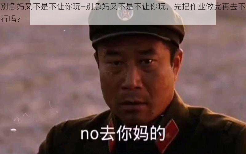 别急妈又不是不让你玩—别急妈又不是不让你玩，先把作业做完再去不行吗？