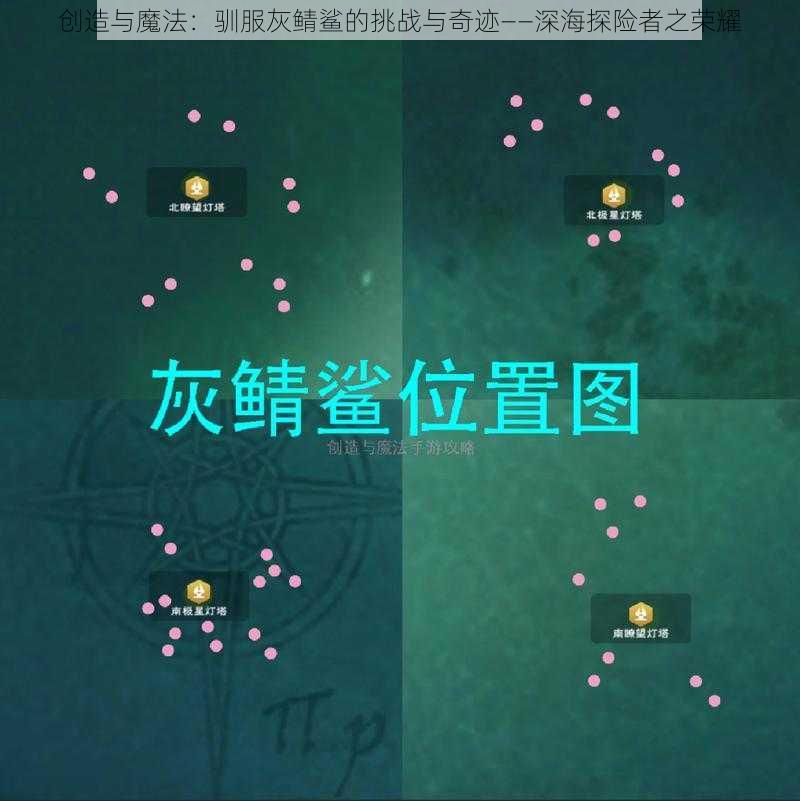 创造与魔法：驯服灰鲭鲨的挑战与奇迹——深海探险者之荣耀