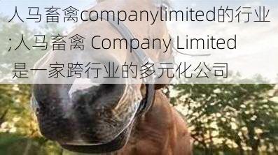 人马畜禽companylimited的行业;人马畜禽 Company Limited 是一家跨行业的多元化公司