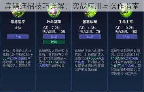 扁鹊连招技巧详解：实战应用与操作指南