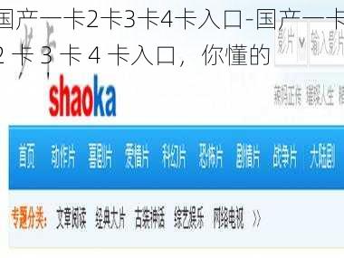 国产一卡2卡3卡4卡入口-国产一卡 2 卡 3 卡 4 卡入口，你懂的