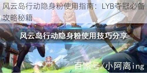 风云岛行动隐身粉使用指南：LYB夺冠必备攻略秘籍