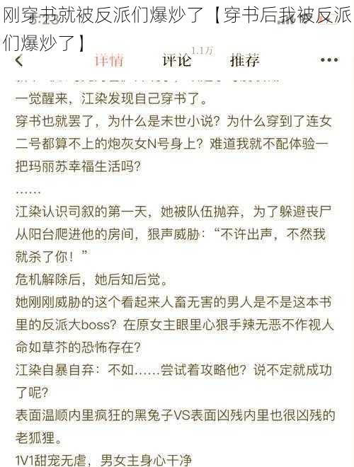 刚穿书就被反派们爆炒了【穿书后我被反派们爆炒了】