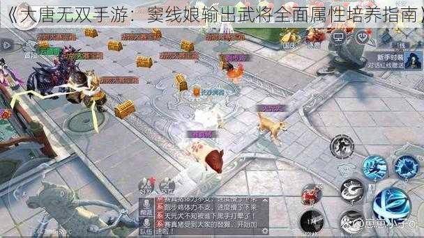 《大唐无双手游：窦线娘输出武将全面属性培养指南》