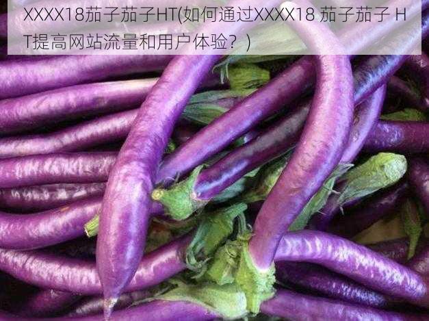 XXXX18茄子茄子HT(如何通过XXXX18 茄子茄子 HT提高网站流量和用户体验？)