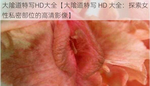 大隂道特写HD大全【大隂道特写 HD 大全：探索女性私密部位的高清影像】