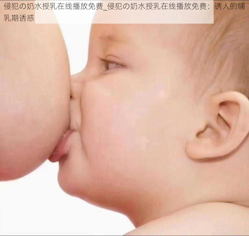 侵犯の奶水授乳在线播放免费_侵犯の奶水授乳在线播放免费：诱人的哺乳期诱惑