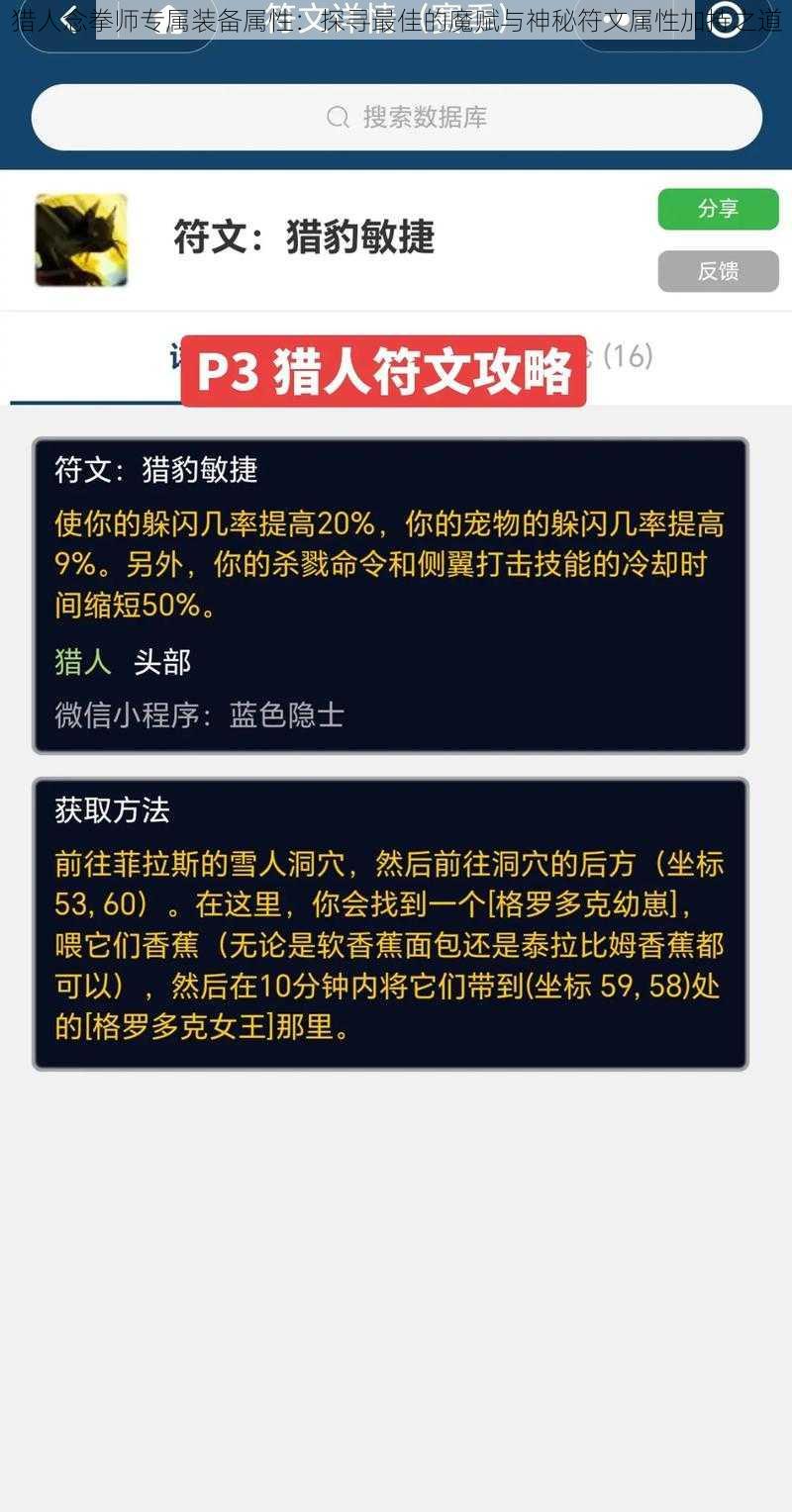 猎人念拳师专属装备属性：探寻最佳的魔赋与神秘符文属性加持之道