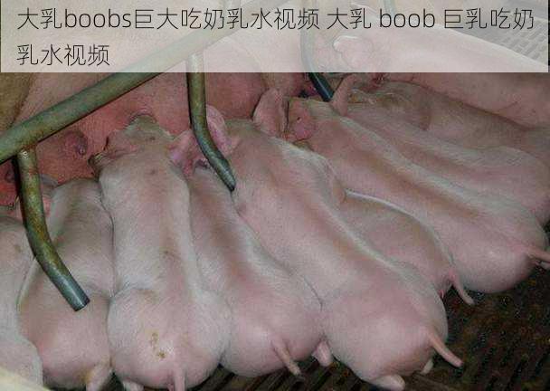 大乳boobs巨大吃奶乳水视频 大乳 boob 巨乳吃奶乳水视频