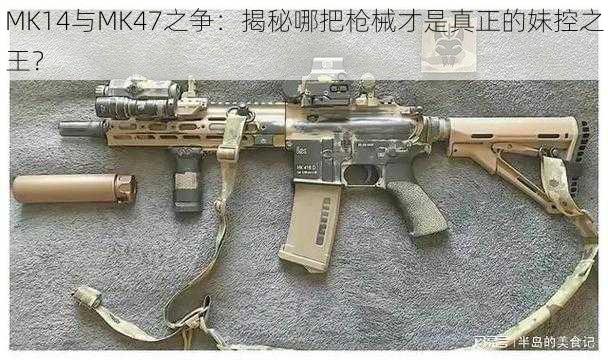 MK14与MK47之争：揭秘哪把枪械才是真正的妹控之王？