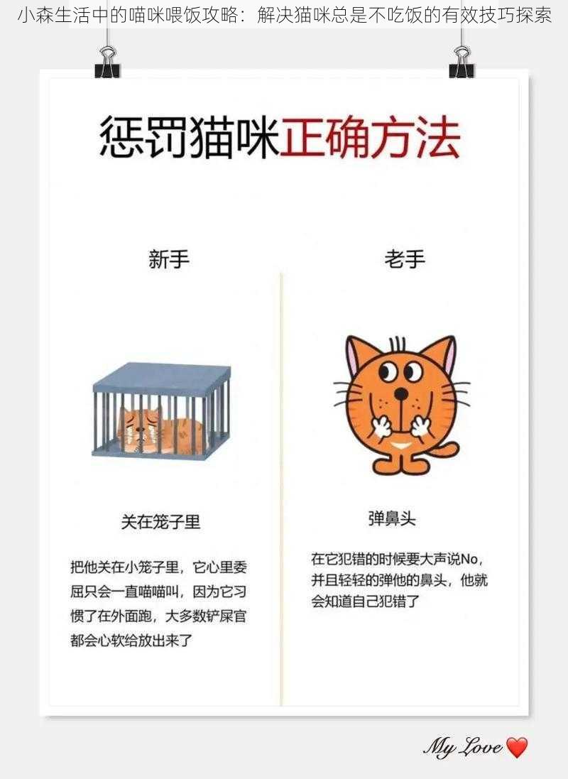 小森生活中的喵咪喂饭攻略：解决猫咪总是不吃饭的有效技巧探索