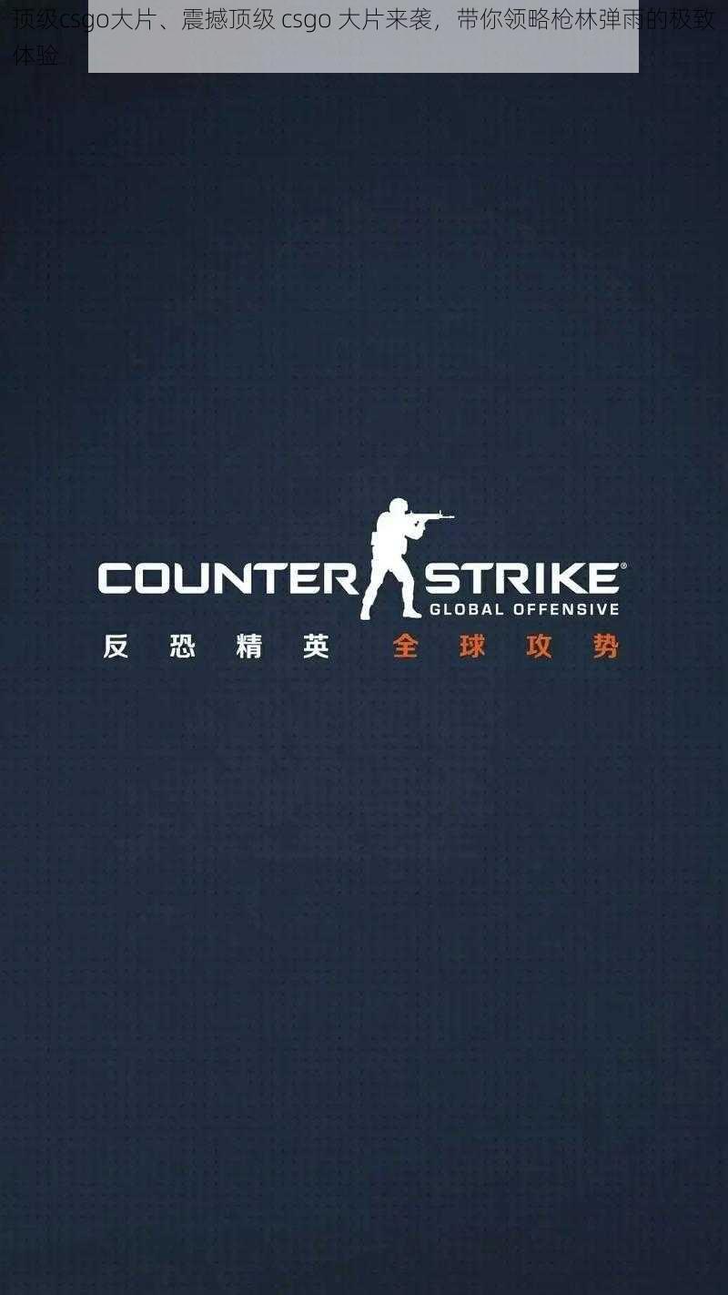 顶级csgo大片、震撼顶级 csgo 大片来袭，带你领略枪林弹雨的极致体验