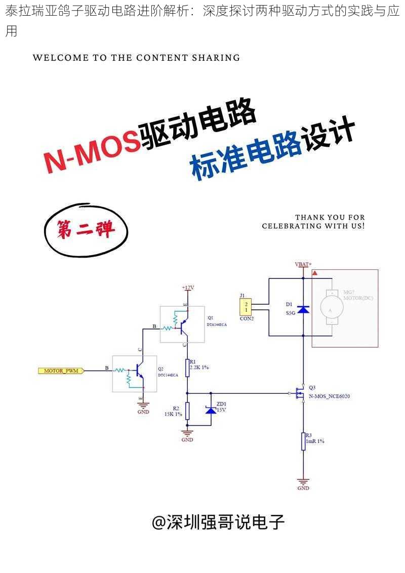 泰拉瑞亚鸽子驱动电路进阶解析：深度探讨两种驱动方式的实践与应用