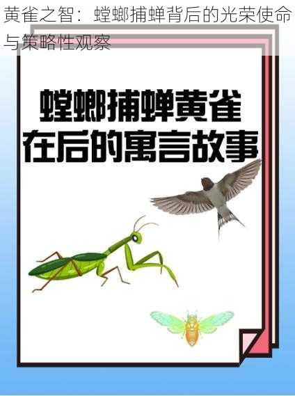 黄雀之智：螳螂捕蝉背后的光荣使命与策略性观察