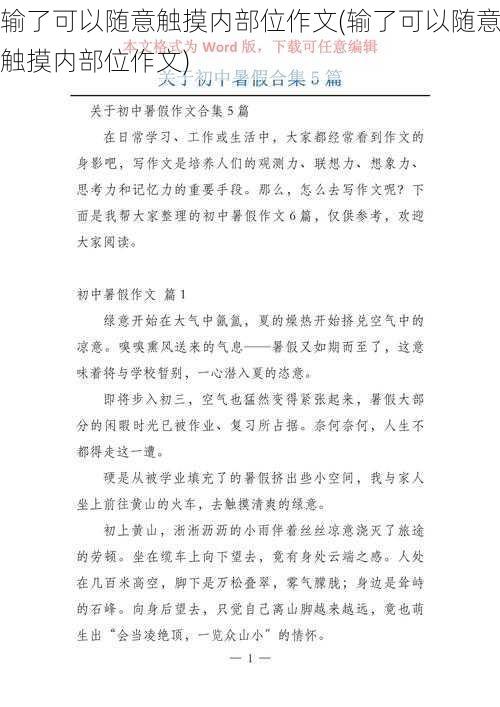 输了可以随意触摸内部位作文(输了可以随意触摸内部位作文)