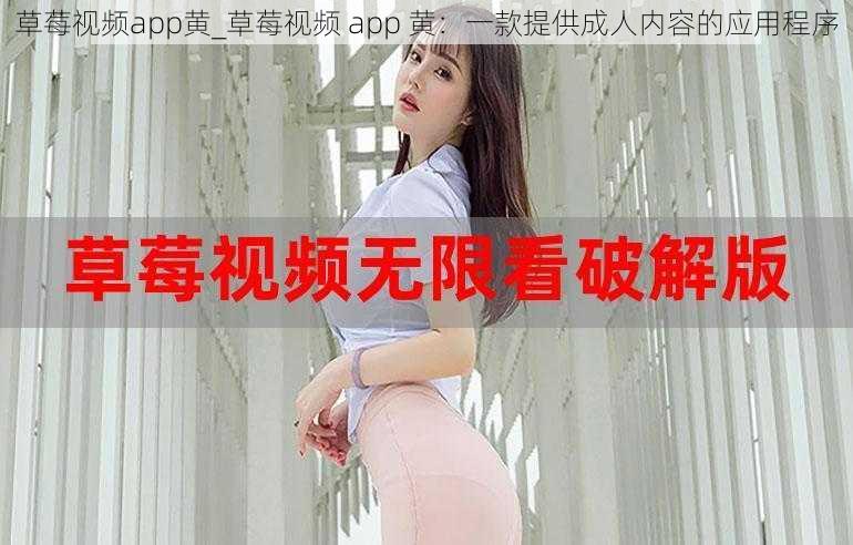 草莓视频app黄_草莓视频 app 黄：一款提供成人内容的应用程序