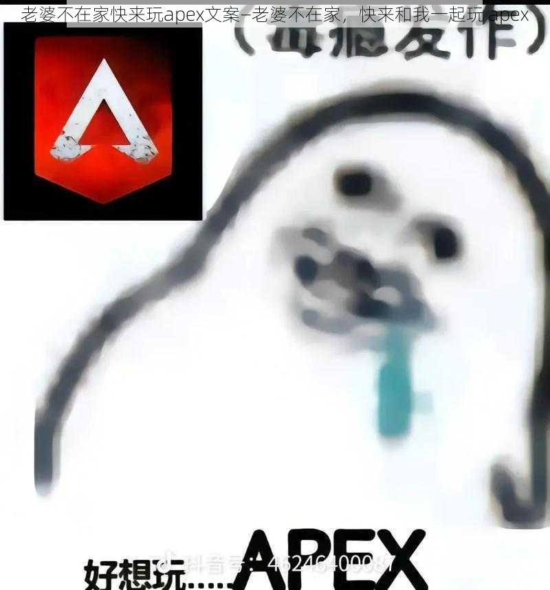 老婆不在家快来玩apex文案—老婆不在家，快来和我一起玩 apex