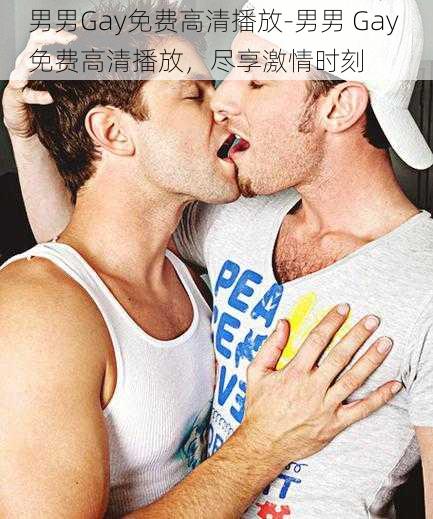 男男Gay免费高清播放-男男 Gay 免费高清播放，尽享激情时刻