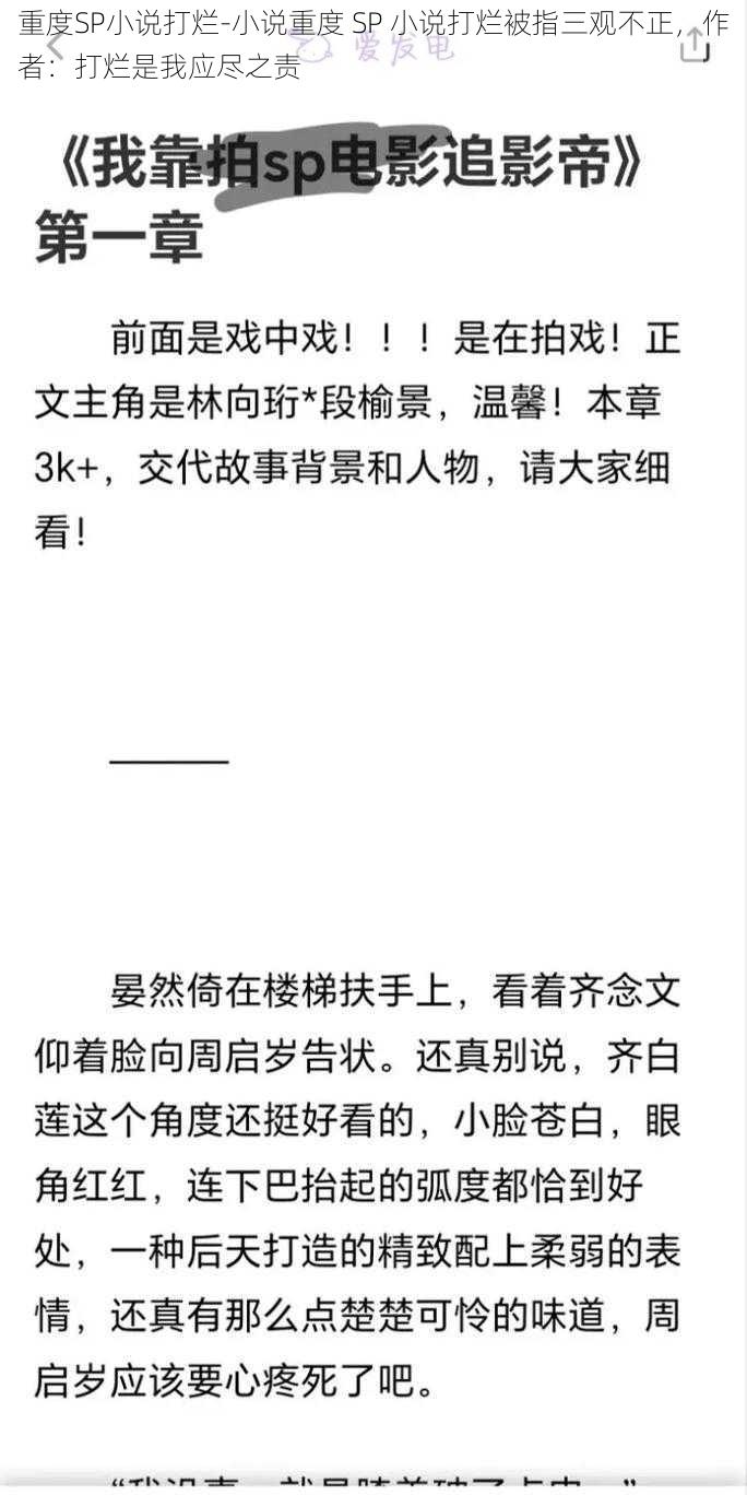 重度SP小说打烂-小说重度 SP 小说打烂被指三观不正，作者：打烂是我应尽之责