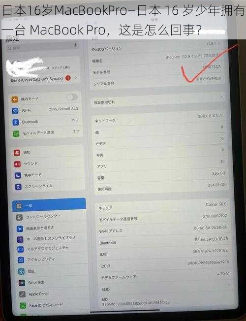 日本16岁MacBookPro—日本 16 岁少年拥有一台 MacBook Pro，这是怎么回事？