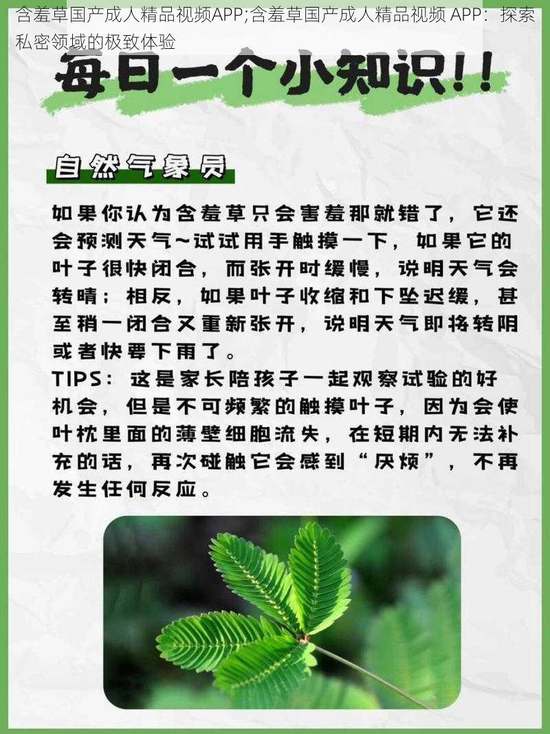 含羞草国产成人精品视频APP;含羞草国产成人精品视频 APP：探索私密领域的极致体验