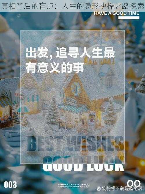 真相背后的盲点：人生的隐形抉择之路探索