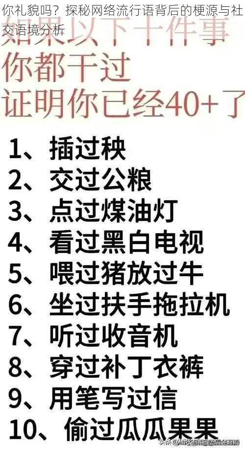 你礼貌吗？探秘网络流行语背后的梗源与社交语境分析