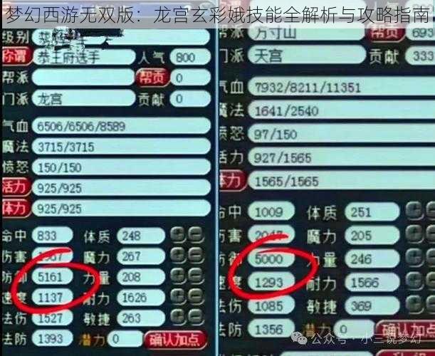 梦幻西游无双版：龙宫玄彩娥技能全解析与攻略指南