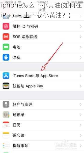 iphone怎么下小黄油(如何在 iPhone 上下载小黄油？)