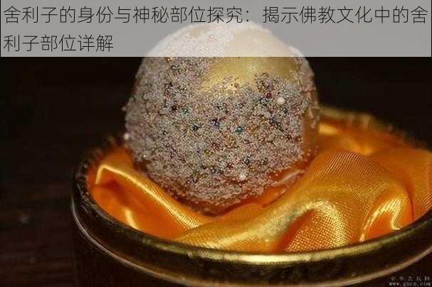 舍利子的身份与神秘部位探究：揭示佛教文化中的舍利子部位详解