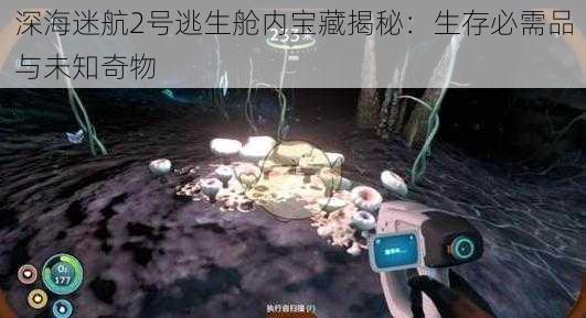 深海迷航2号逃生舱内宝藏揭秘：生存必需品与未知奇物